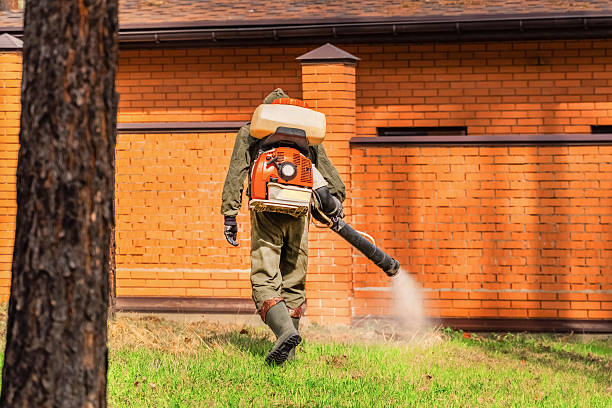 Top rated local Ant Control specialists in Hortonville, WI